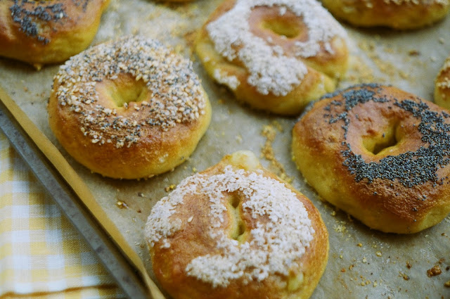 Homemade Bagels 