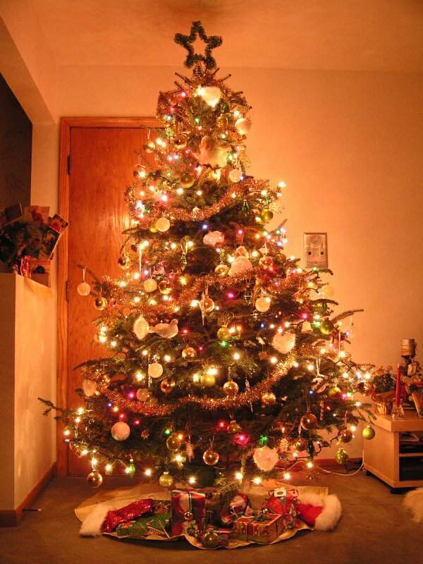 Pohon Natal Kumpulan Gambar