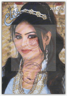 Shuaa Digest November 2013 pdf