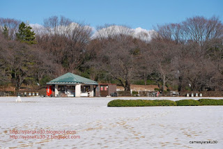 雪の芝生広場の写真