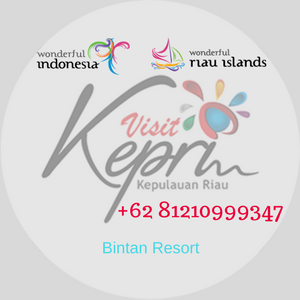 081210999347, 35 paket wisata bintan lagoi kepri, bintan resort