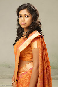 Amala Paul latest new cute looking tradition saree photos wallpapers