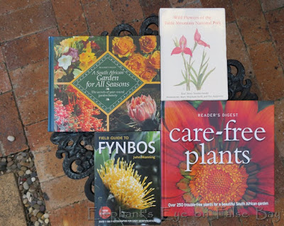 Four favourite books for Cape Town gardens