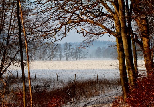 Fyledalen i vinterskrud 038