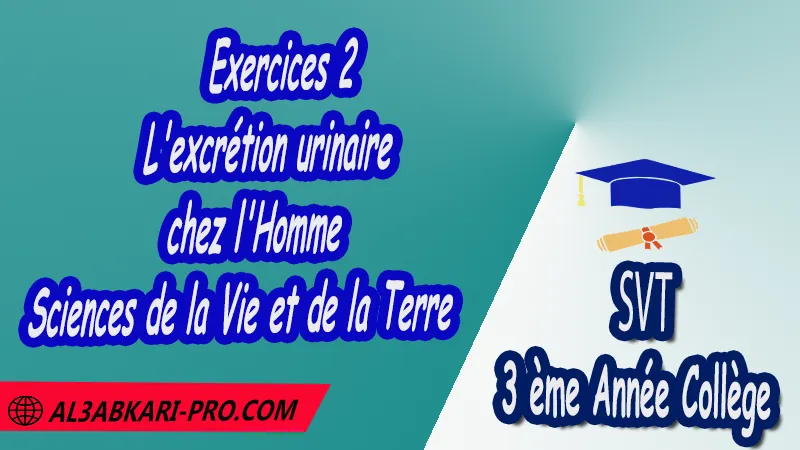 Exercices 2 de l'excrétion urinaire chez l'Homme SVT 3ème Année Collège 3AC pdf , Sciences de la Vie et de la Terre (SVT) de 3 ème Année Collège 3AC , SVT 3APIC option française , Cours de l'excrétion urinaire chez l'Homme , Résumé de l'excrétion urinaire chez l'Homme , Exercices corrigés de l'excrétion urinaire chez l'Homme , Activités de l'excrétion urinaire chez l'Homme , Fiches pédagogiques de l'excrétion urinaire chez l'Homme , Devoirs corrigés de Sciences de la Vie et de la Terre (SVT) , Contrôle corrigé de de Sciences de la Vie et de la Terre (SVT) , Examens régionaux corrigés de Sciences de la Vie et de la Terre (SVT) , Travaux dirigés td de Sciences de la Vie et de la Terre (SVT) الثالثة اعدادي خيار فرنسي , مادة علوم الحياة والارض خيار فرنسية , الثالثة اعدادي , مسار دولي