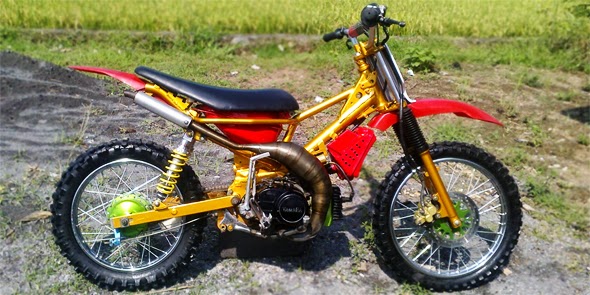 Modif Yamaha F1zr Jadi Trail