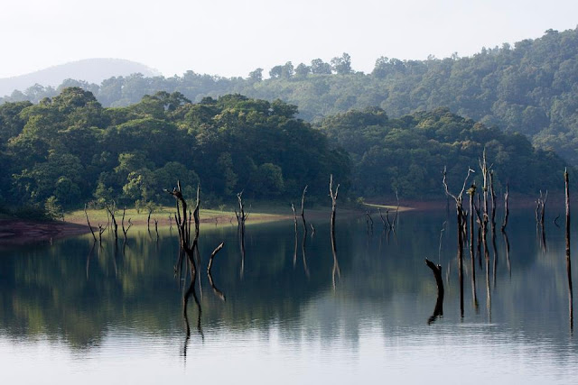 Lake at Thekkady