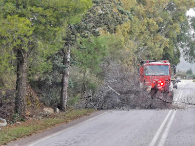 ΛΑΚΩΝΙΑ:Έπεσε δέντρο επί της Εθνικής οδού στους Μολάους (ΦΩΤΟ)