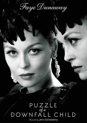 Puzzle Of A Downfall Child Dvd