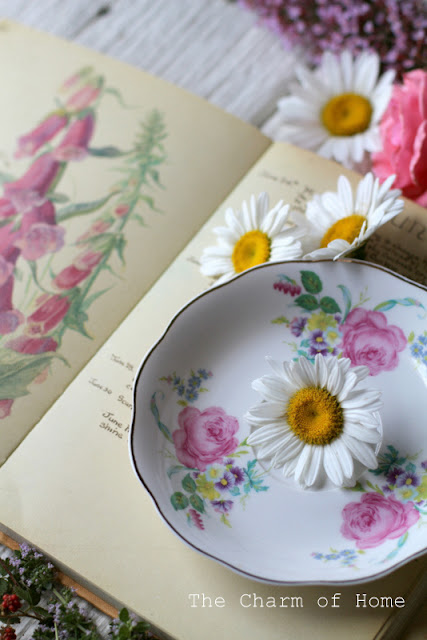 June Visual Tea/Garden Journal: The Charm of Home