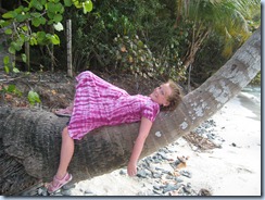 Delaina on palm tree, Maho Bay