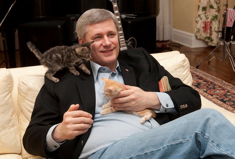 stephen harper kitten. Stephen Harper website: