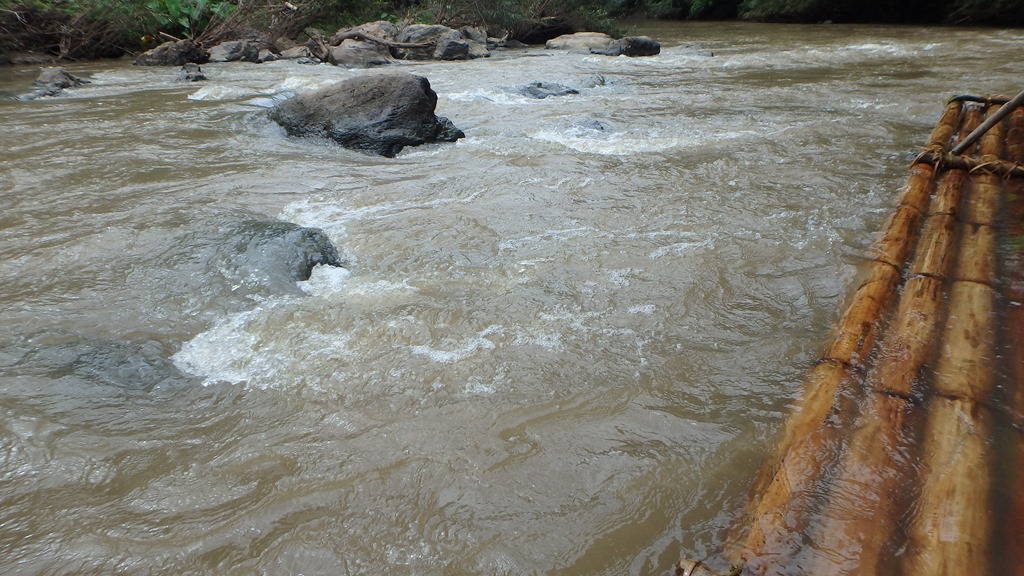 P7202291