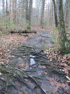 Winter Hike in NC © Katrena