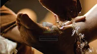 Tuhan Yesus Layak Menerima Kemewahan