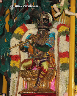 Punnai Mara Vahanam,Purappadu, Brahmotsavam,Sri Parthasarathy Perumal,Chithirai, Triplicane,   Thiruvallikeni, Utsavam