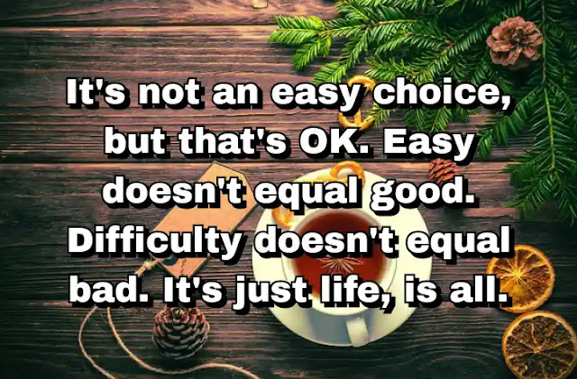 "It's not an easy choice, but that's OK. Easy doesn't equal good. Difficulty doesn't equal bad. It's just life, is all." ~ Barry Lyga