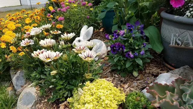 Photo of a flower garden