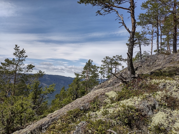 Klevarudnatten Trytetjern Nesbyen stolpejakt