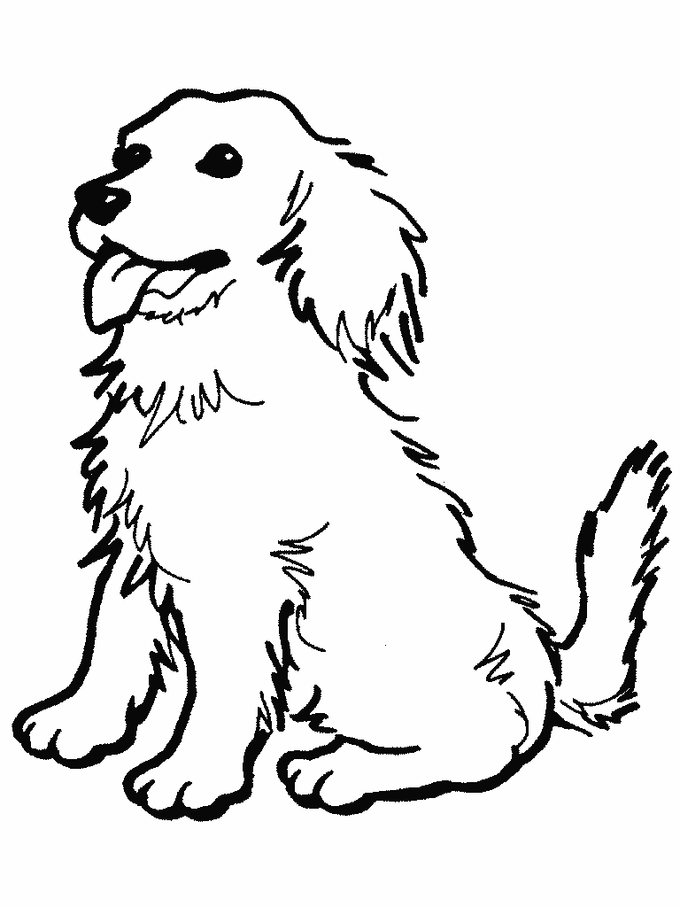 dessin colorier de chien