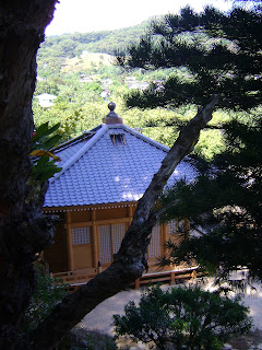 view through pine tree of completed Hall of Compassion with sacred ball
