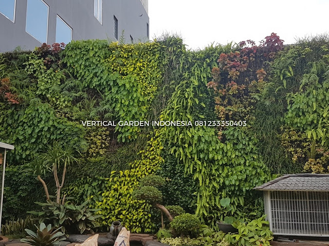 VERTICAL GARDEN INDONESIA SPESIALIS JASA PEMBUATAN VERTICAL GARDEN DI SERPONG DAN DI SELURUH WILAYAH SERPONG DENGAN TENAGA YANG PROFESIONAL DAN DAPAT DI PERCAYA YANG SELALU MENGUTAMAKAN SEBUAH MUTU DAN KUALITAS PEMASANGAN VERTICAL GARDEN/TAMAN DINDING, JASA TUKANG TAMAN VERTICAL SERPONG, JASA VERTICAL GARDEN SERPONG