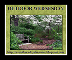 OutdoorWednesdaylogo55444454444