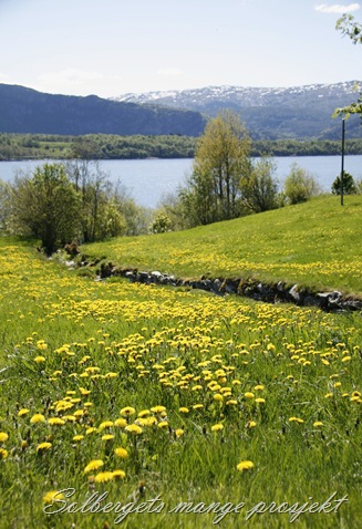 _MG_1823 til blogg