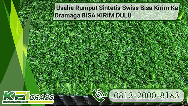 Usaha Rumput Sintetis Swiss Bisa Kirim Ke Dramaga BISA KIRIM DULU