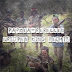 Papoea-kinderen die wapens houden