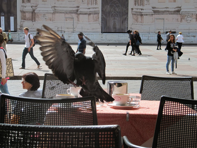 piazza maggiore