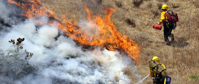 Firefighters controlling wildfire