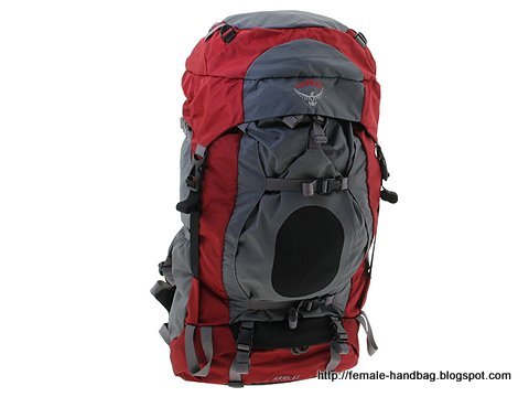 Female-handbag:female-1217907