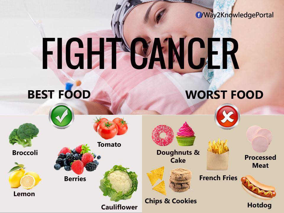 Make Life Easier: The Best Foods for Cancer Patients