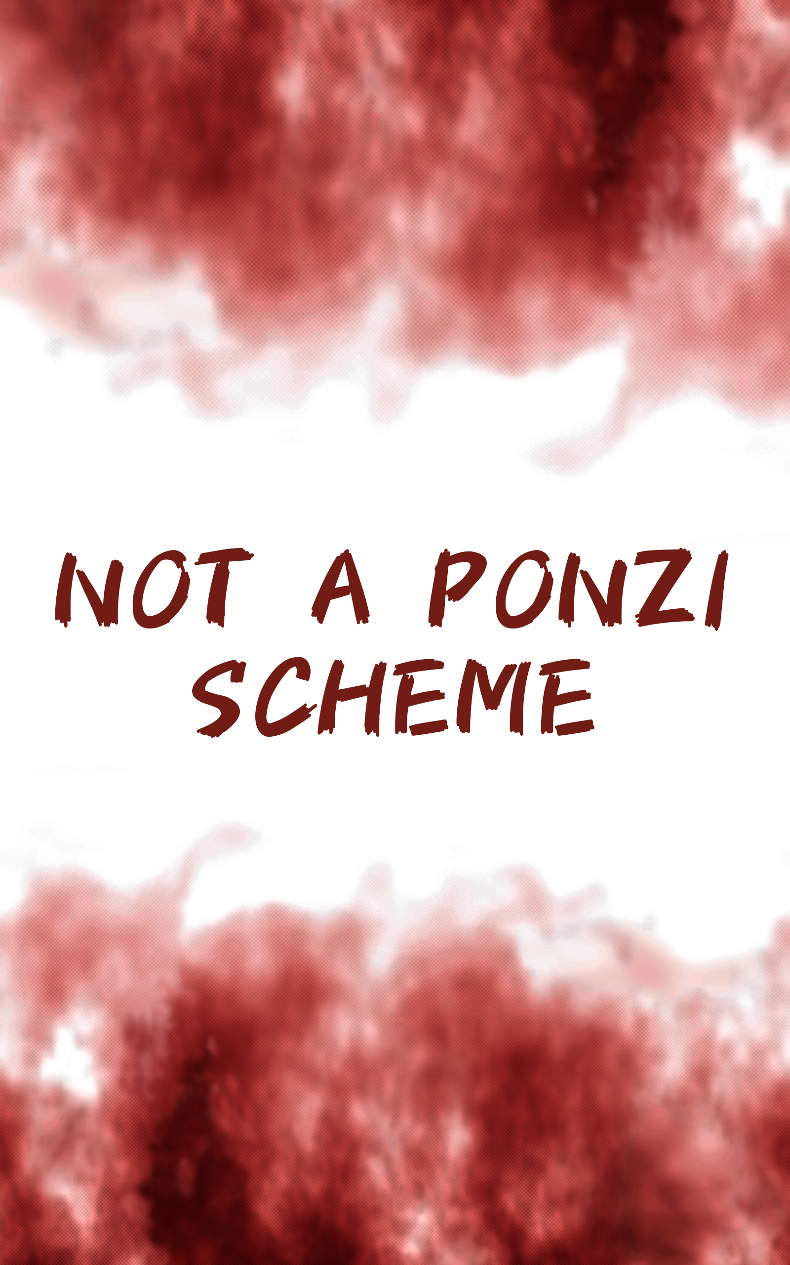Not a Ponzi Scheme Cover