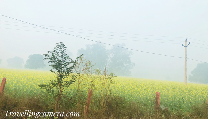 As we drove further, we started encountering patches of fog that were even thicker than before. We had to slow down and be extra cautious while driving. The visibility was so low that we could barely see the lane markings on the road. The drive was turning out to be more challenging than we had anticipated.