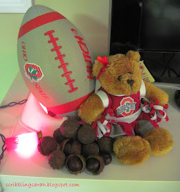 Ohio State Buckeyes Decorations