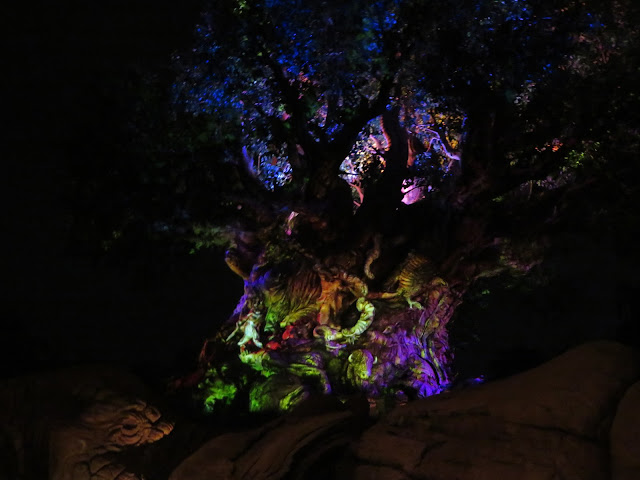 Tree of Light Night Time Projections Disney's Animal Kingdom