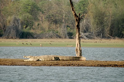 Safari on the Kabini River