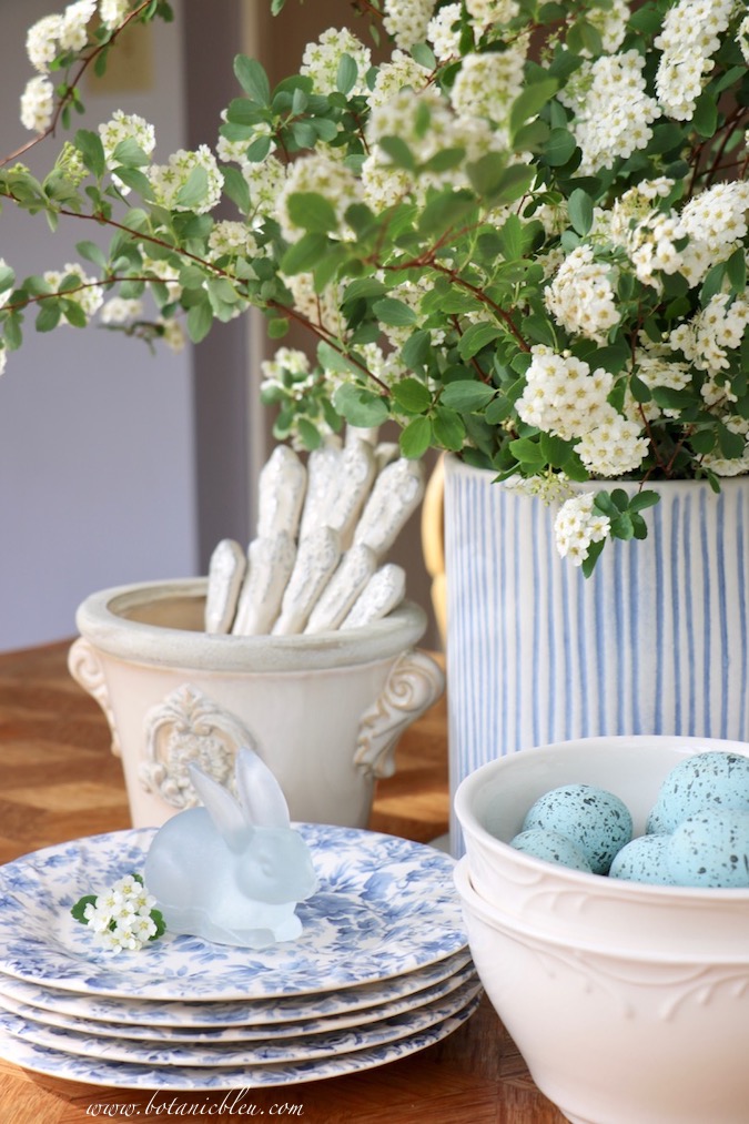 A blue and white striped vase holds a gorgeous white bridal wreath spirea flower arrangement for Easter