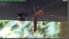 20150716_104342_008_HoMeiSan