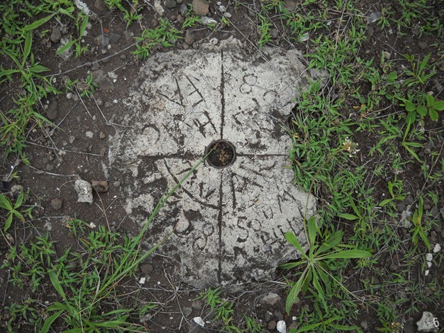 DSCN8903