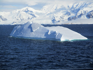 Anvers Island - Antarctica