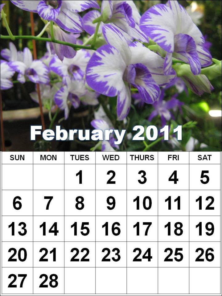 2011 calendar printable uk. calendar 2011 uk printable. february 2011 calendar with