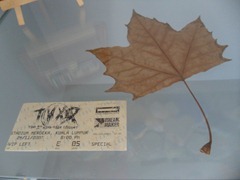 SAM_0889