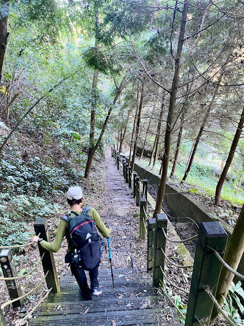 埋伏坪步道--陡下