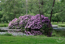 pałac Drottningholm