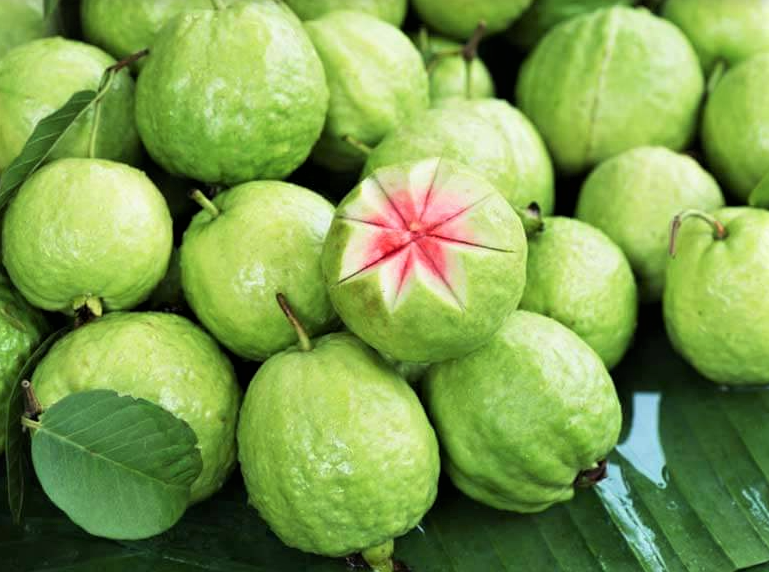 Health Benefit of Guava