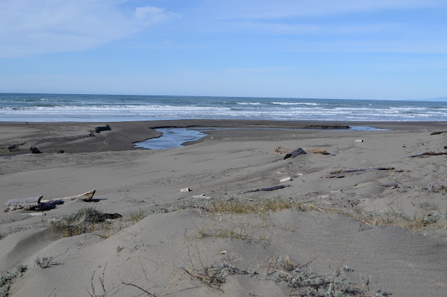 creek across the beach