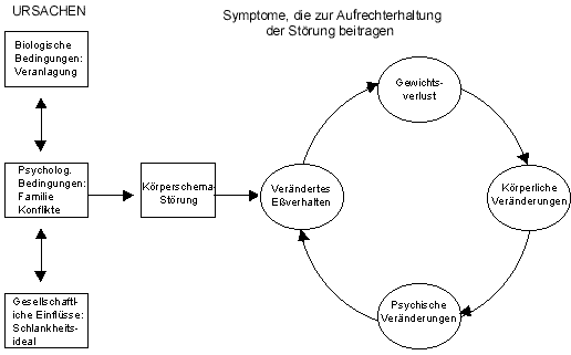 plötzlicher gewichtsverlust diabetes